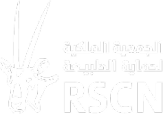 RSCN